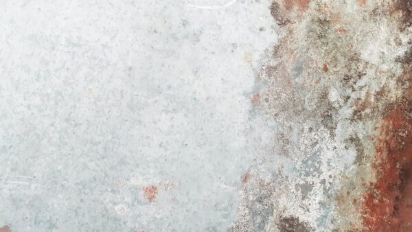 Avoid corrosion and mold in installations and during transport with these 4 simple steps​